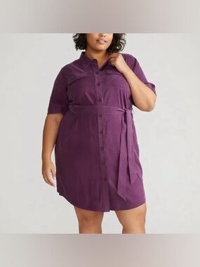 Universal Standard Belted Cupro Shirt Dress